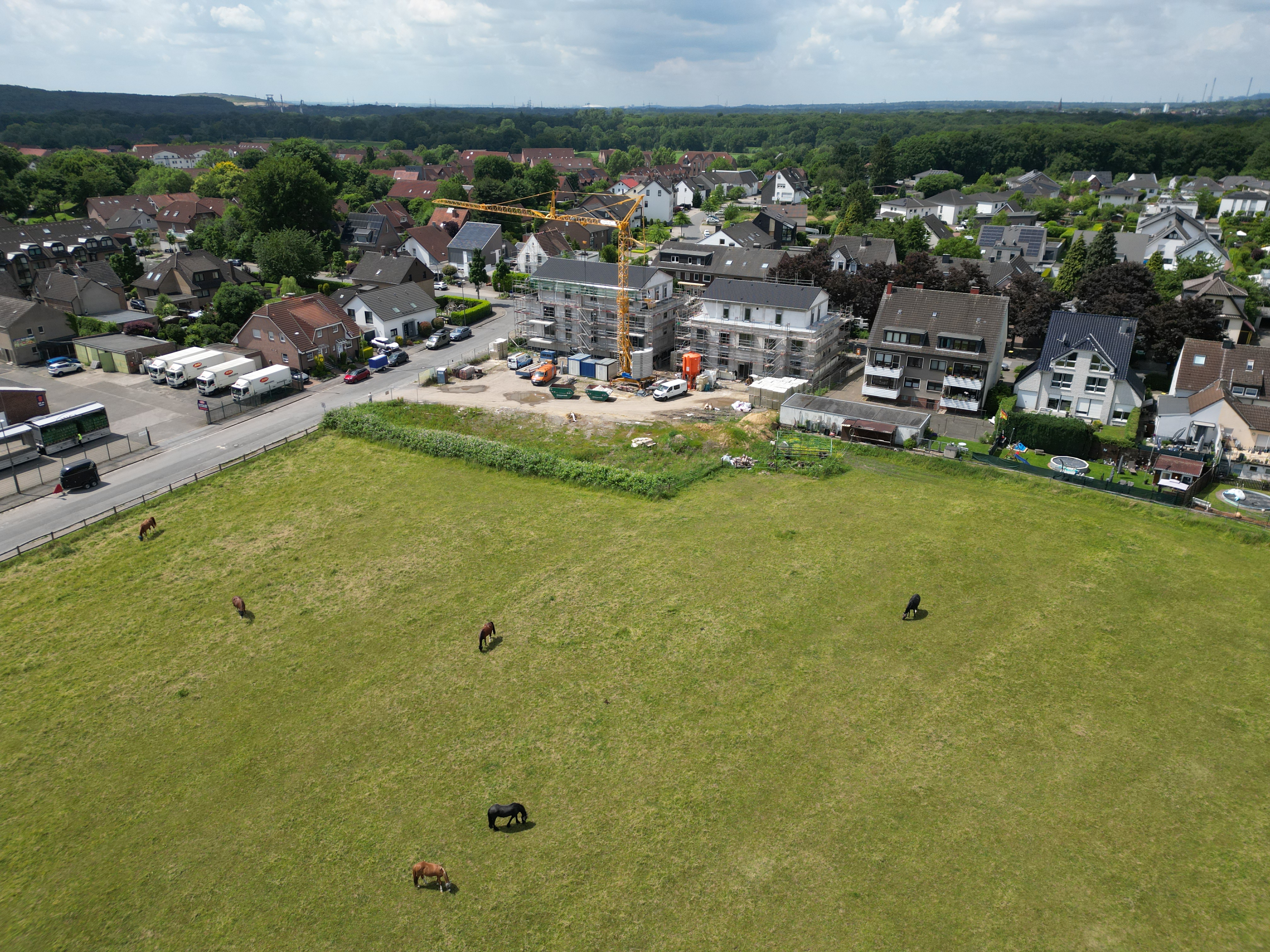 Neubau zur Vermietung Stuckenbusch